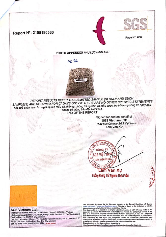 giấy chứng nhận nhân sâm hoàng ngọc từ SGS số 6